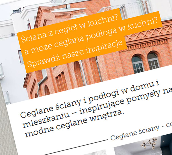 pozycjonowanie strony internetowej za pomocą bloga