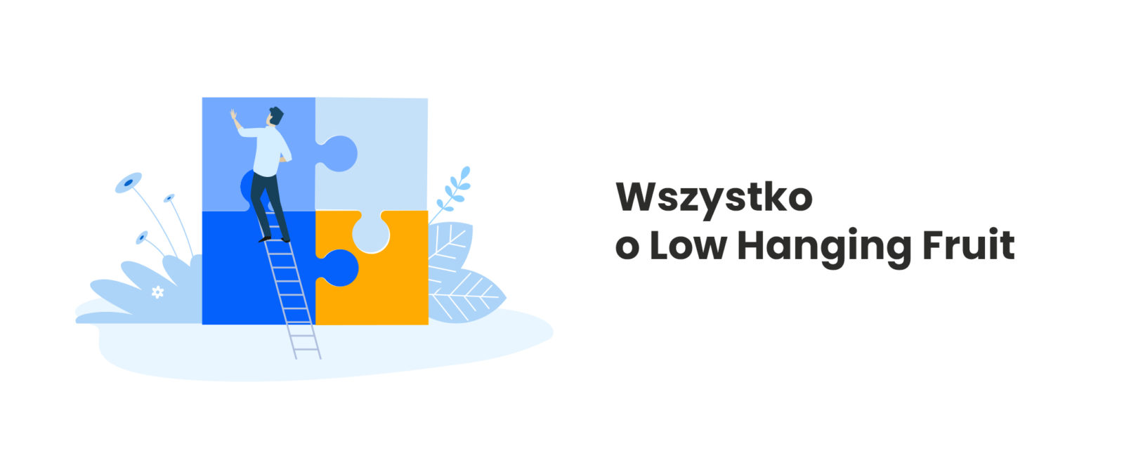 wszystko-o-low-hanging-fruit-agencja-interaktywna-kobosystem